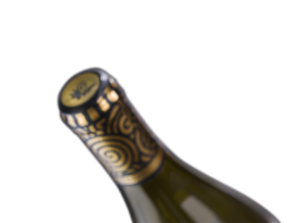 10 Pezzi Capsule termorestringenti per Bottiglie di Vino Capsule termorestringenti per Bottiglie di Vino Fatte in casa LyGuy con Tappo Staccabile Colore: Oro 